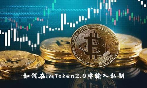 如何在imToken2.0中输入私钥