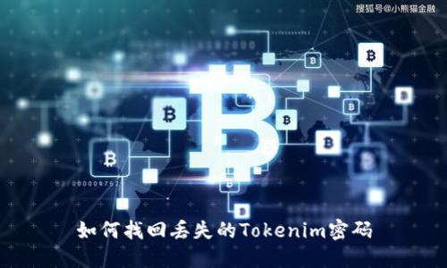 如何找回丢失的Tokenim密码