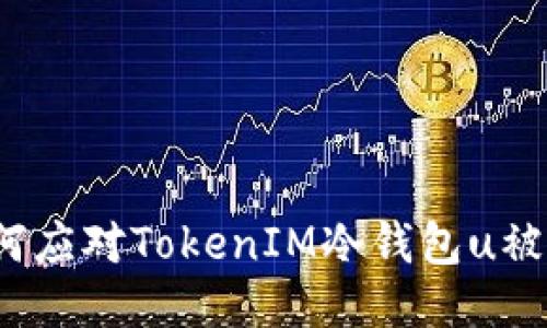 如何应对TokenIM冷钱包u被盗？