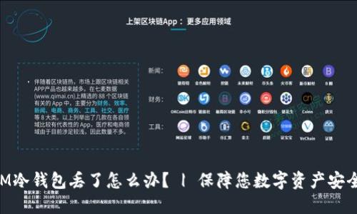 TokenIM冷钱包丢了怎么办？ | 保障您数字资产安全的方法