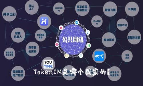 TokenIM是哪个国家的？