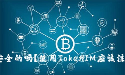 TokenIM是安全的吗？使用TokenIM应该注意哪些问题？