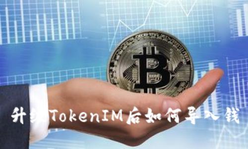 升级TokenIM后如何导入钱