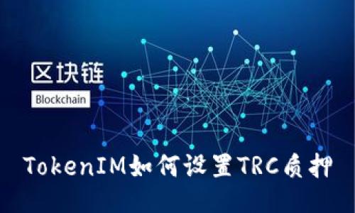 TokenIM如何设置TRC质押