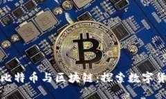 深入探讨比特币与区块链：探索数字货币新时代