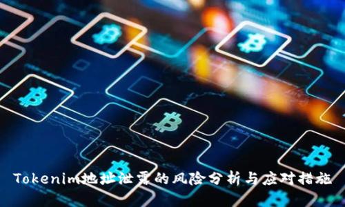 Tokenim地址泄露的风险分析与应对措施