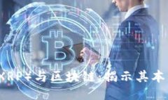 瑞波币（XRP）与区块链：揭示其本质与应用