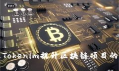 如何通过Tokenim提升区块链项目的融资效率