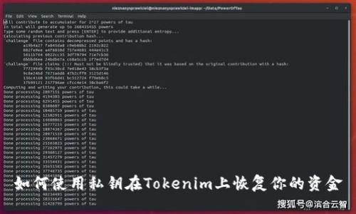 如何使用私钥在Tokenim上恢复你的资金