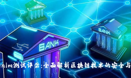 Tokenim测试评估：全面解析区块链技术的安全与应用