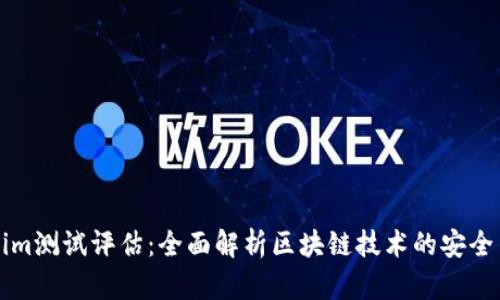 Tokenim测试评估：全面解析区块链技术的安全与应用