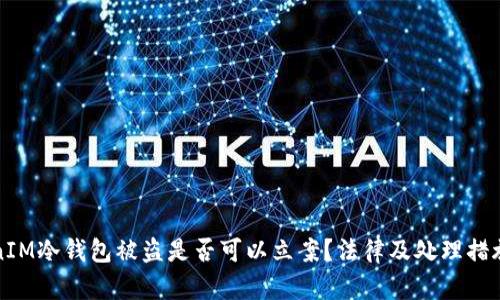 TokenIM冷钱包被盗是否可以立案？法律及处理措施分析