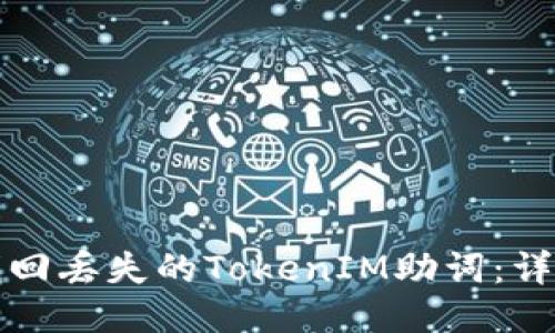 如何找回丢失的TokenIM助词：详细指南