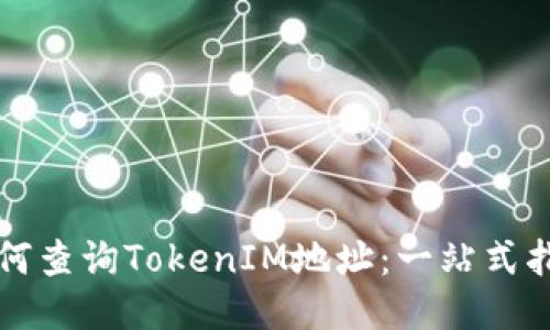 如何查询TokenIM地址：一站式指南