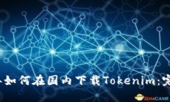 2023年如何在国内下载Tokenim：完整指南