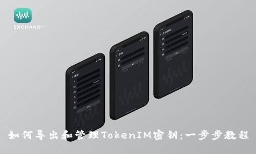 如何导出和管理TokenIM密钥：一步步教程