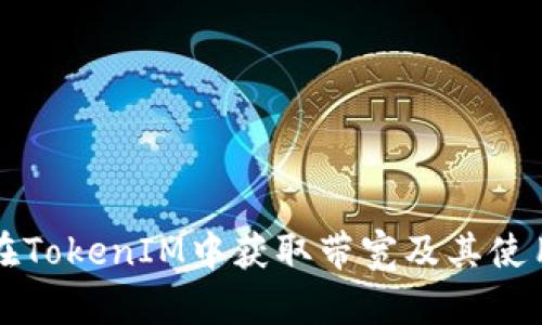 如何在TokenIM中获取带宽及其使用指南