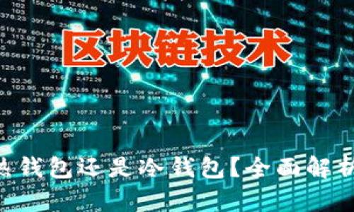 Tokenim: 热钱包还是冷钱包？全面解析及使用指南