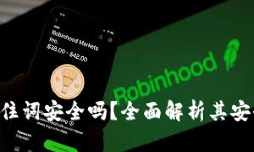 Tokenim记住词安全吗？全面解析其安全性及风险