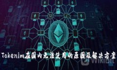 Tokenim在国内无法使用的原因及解决方案