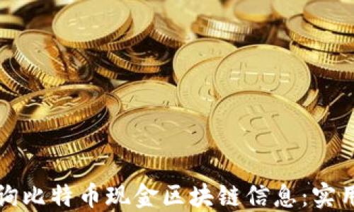 
如何高效查询比特币现金区块链信息：实用技巧与工具