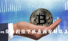 Tokenim价格持续下跌原因分析及未来展望