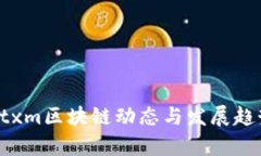 最新Btxm区块链动态与发展趋势分析