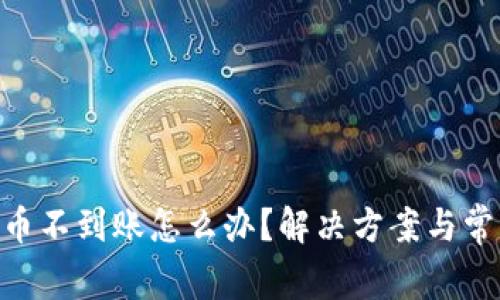 Tokenim充币不到账怎么办？解决方案与常见问题解析