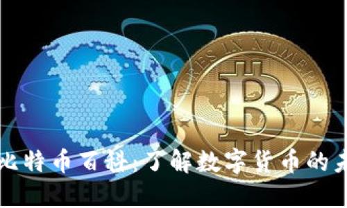 区块链与比特币百科：了解数字货币的未来与机制