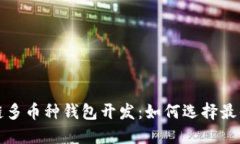 深圳区块链多币种钱包开发：如何选择最佳解决
