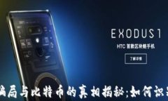 区块链骗局与比特币的真相揭秘：如何识别与防