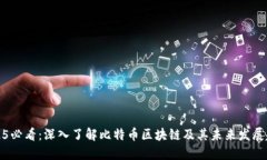 2025必看：深入了解比特币区块链及其未来发展趋