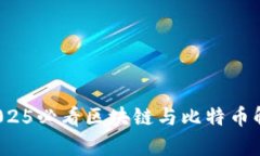 立即下载！2025必看区块链与比特币解析网站指南