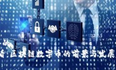 思考一个的  2025必看：区块链数字币的前景与发
